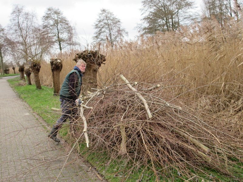 2020-01-04-helofytenfilter-uithoorn (13)